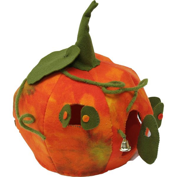 "Pompoenhuisje: jouw magische pompoenplek!"