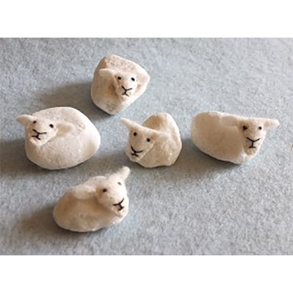 "Vijf vrolijke schaapjes!"