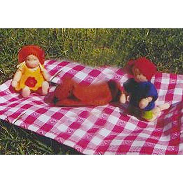 "Zomerse Picknickpret!"