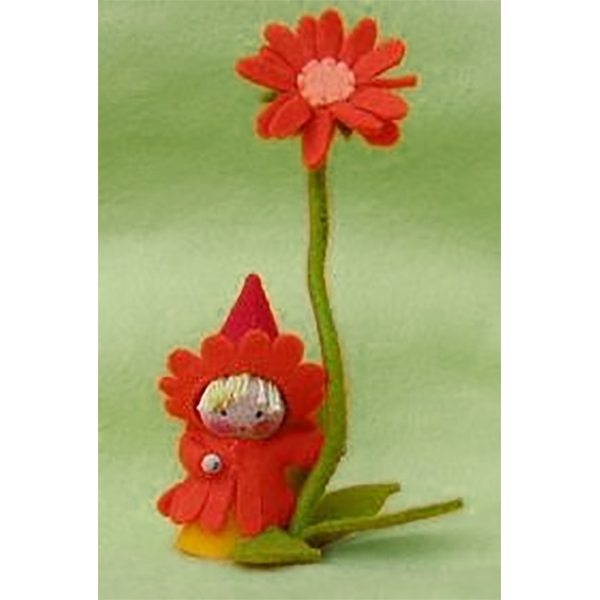 Goudsbloem kabouter Kinderpakket