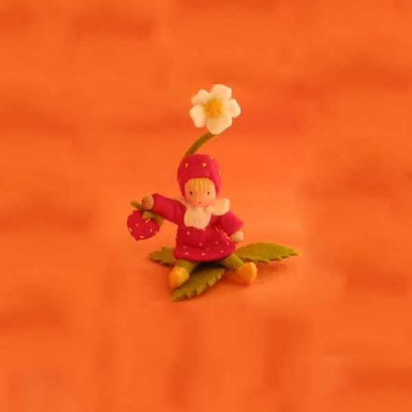 "Aardbeienvriendin Pippilotta"