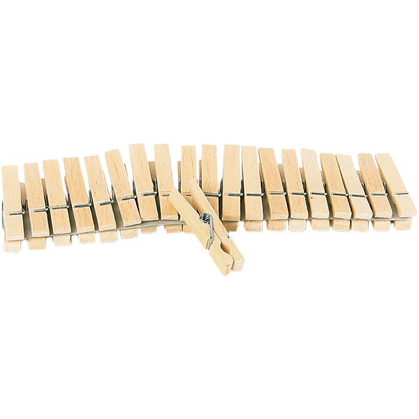 Wasknijperset 20 stuks