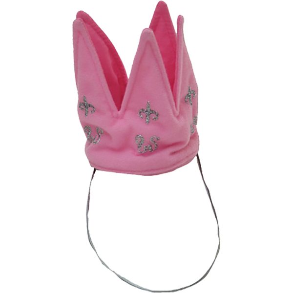 "Prinsessen Kroontje voor Fantastische Avonturen!"