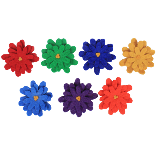 Set van 7 kleurrijke Rainbow Asters bloemen in rood, groen, blauw, geel, paars en oranje, perfect voor decoratie of knutselprojecten.