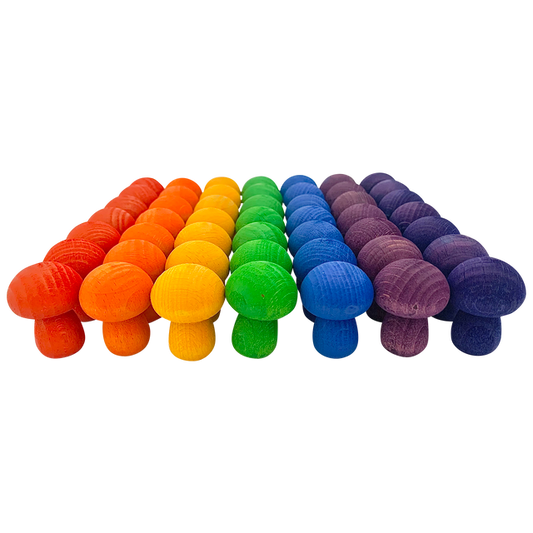 "Mini Regenboog Paddenstoelen Set van 49 Stuks!"