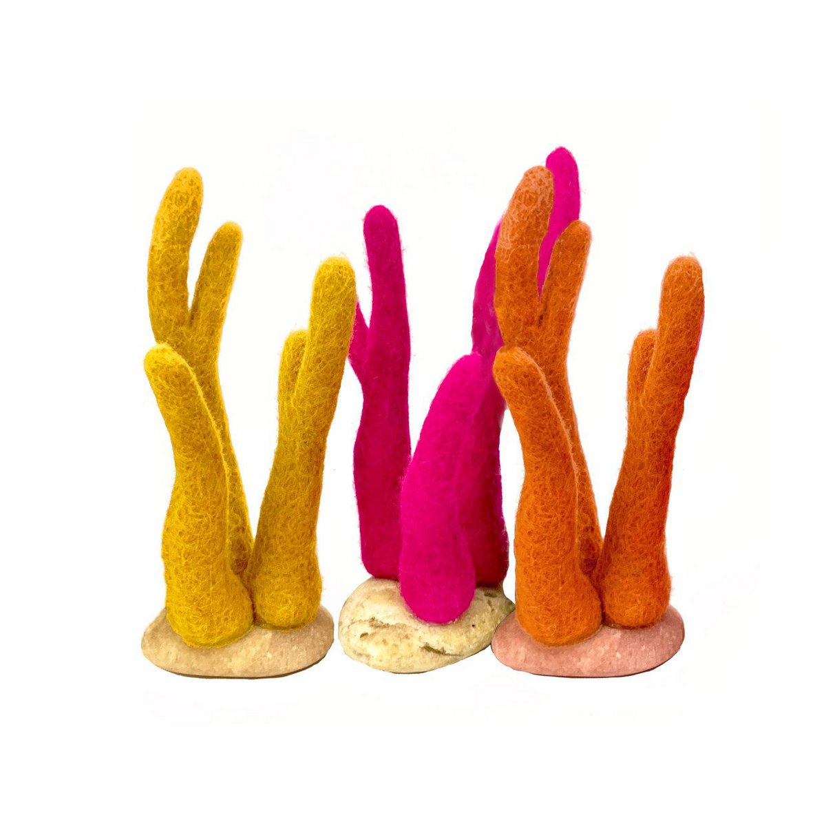 Rock Coral Hot/3pc