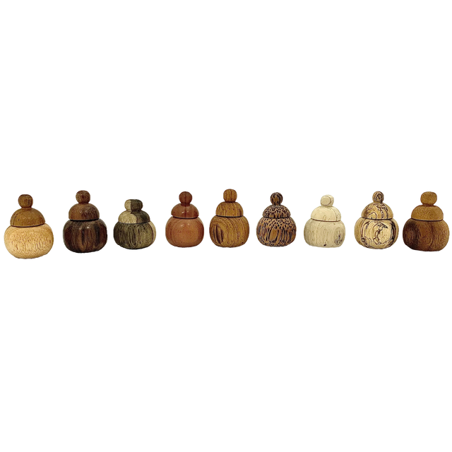 Set van 9 Mini WW Mini Pots in diverse houtsoorten, perfect voor decoratie of opslag van kleine items in huis of keuken.