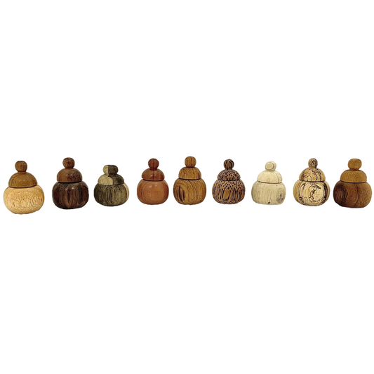 Set van 9 Mini WW Mini Pots in diverse houtsoorten, perfect voor decoratie of opslag van kleine items in huis of keuken.