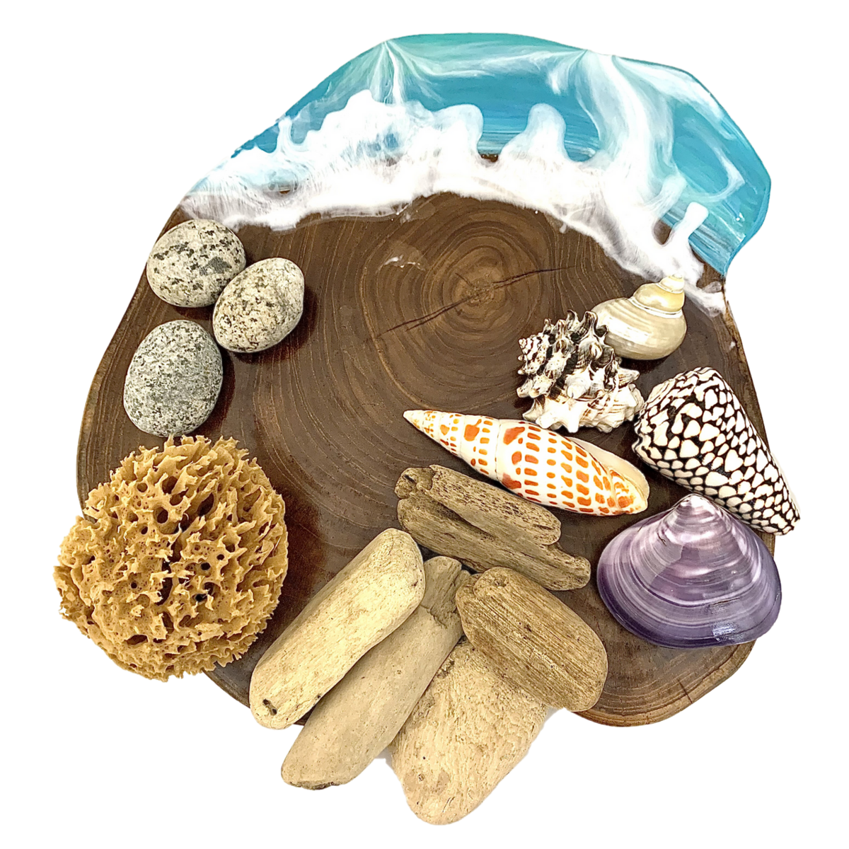 Beachcomber Set/14pc gepresenteerd op houten schijf met geschilderde branding, perfect voor maritieme woondecoratie.