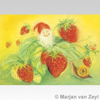 Seizoenskaarten set van 14 stuks A6 van Marjan van Zeyl.